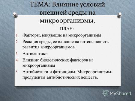 Польза и вред молочнокислых бактерий