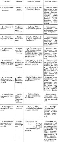 Жизнедеятельность и значение уксуснокислых бактерий
