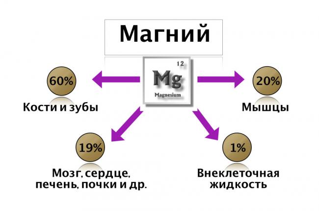 Нехватка магния в организме — 10 главных симптомов. что делать, если не хватает магния в организме?