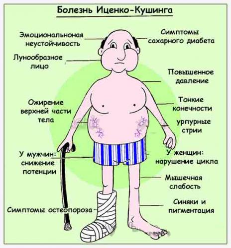 Болезнь иценко кушинга (гиперкортицизм). причины, симптомы, современная диагностика и лечение заболевания. :: polismed.com