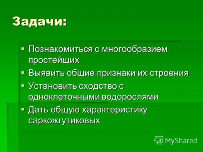 Строение и классификация простейших одноклеточных организмов