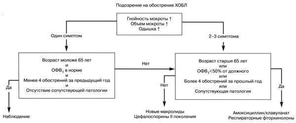 Обострения хобл: лечение, что делать, как предотвратить вспышки хронической обструктивной болезни лёгких, как ослабить симптомы