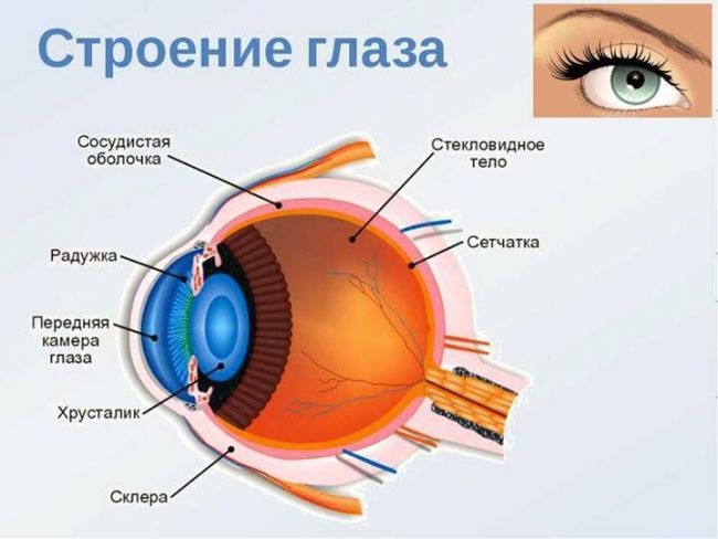 Ангиопатия сетчатки обоих глаз: что это такое, симптомы, лечение