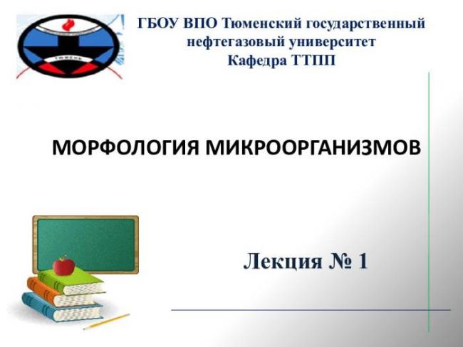 Кто они – бактерии и что представляют собой самые многочисленные жители нашей планеты?