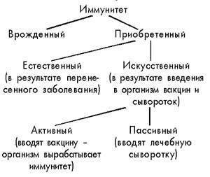 А. врождённый и приобретённый иммунитет