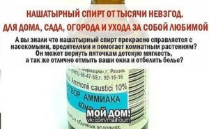 Можно ли применять нашатырный спирт от похмелья?