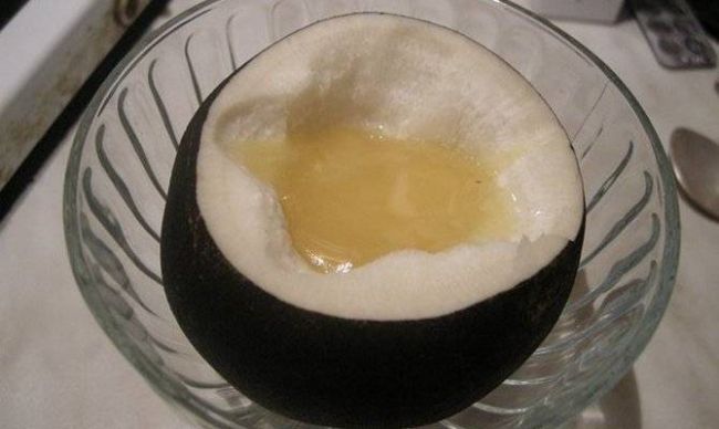 Редька зеленая с медом от кашля, гриппа и других недугов: как приготовить целебное средство и принимать от заболеваний у взрослых и детей, варианты рецептов