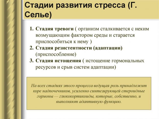 Надпочечники