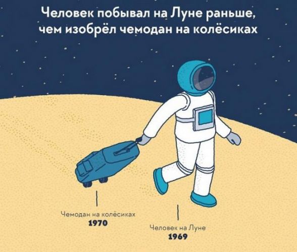 Мышечная система