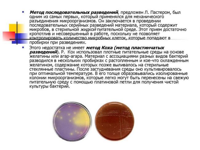 Методическая разработка практического занятия "культивирование бактерий" для студентов медицинских колледжей