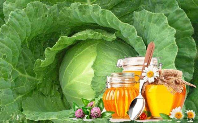 Молоко с луком: проверенный рецепт от кашля
