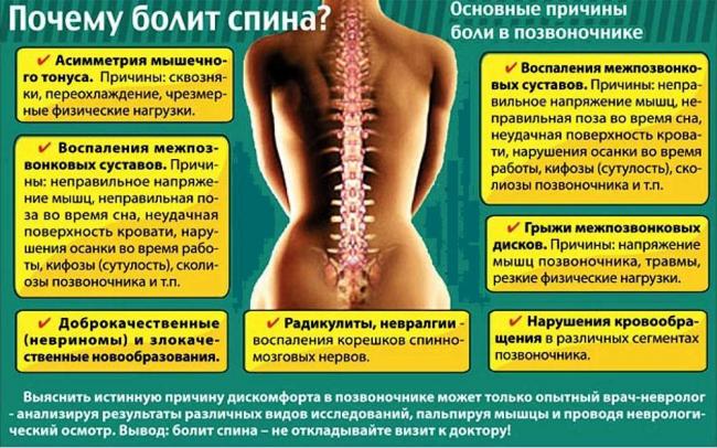 Массаж позвоночника в домашних условиях: видео, можно ли массажировать все отделы спины, противопоказания