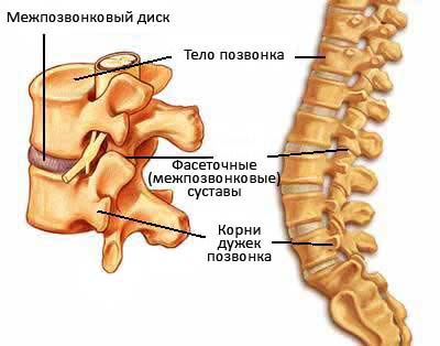 Компрессионный перелом позвоночника: что это такое, симптомы, лечение, последствия перелома позвонков