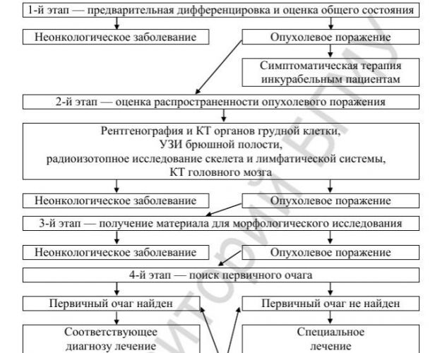 Метастазы в брюшной полости прогноз срока жизни отзывы