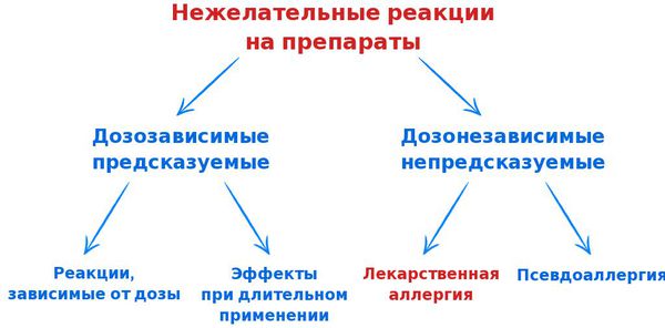 Аллергические заболевания, их причины, лечение и профилактика