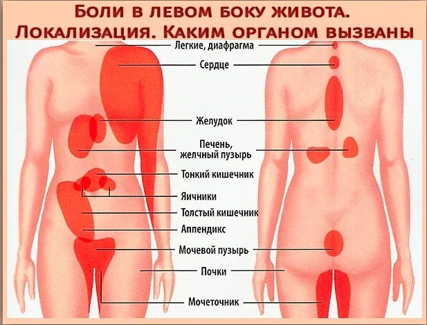 Если болит справа, слева или спереди в области ребер при кашле — что это может быть?