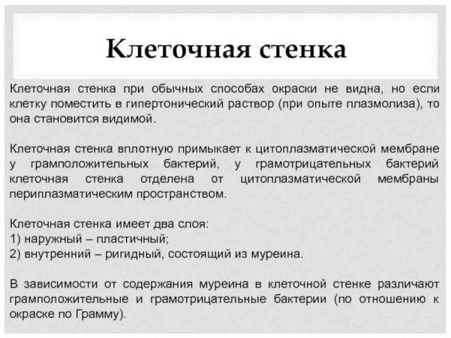 Чем отличаются грамотрицательные и грамположительные бактерии? - лактонорм