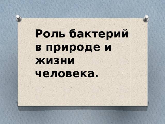 Болезнетворные бактерии — паразиты человека. где живут? какие вызывают болезни?