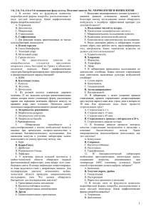 Одиночные округлые бактерии, или микрококки