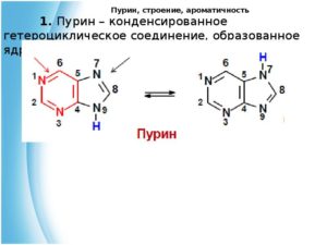 Мочевая кислота в продуктах питания таблица. пурины в продуктах.