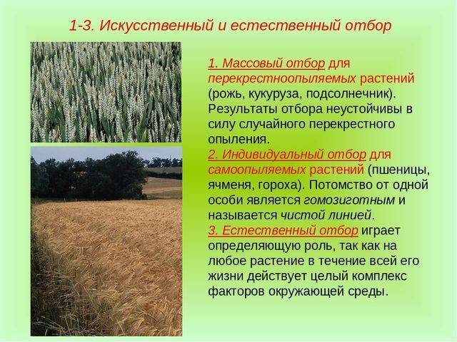 Биология: 1) почему бактерий считают самой древней группой живых существ на земле?
2) какие...
