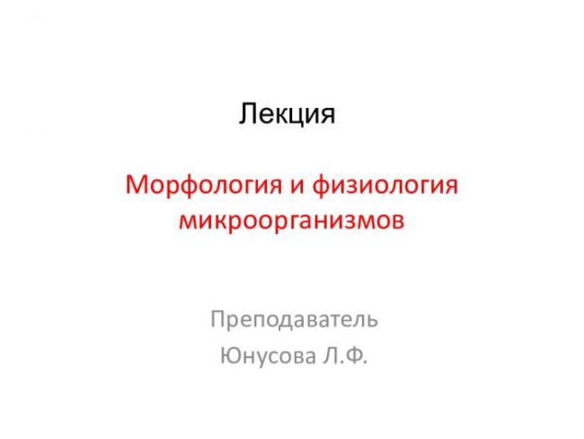 Бактерии – это одноклеточные организмы - 11833-3
