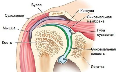Причины, симптомы синовита коленного сустава, методы диагностики и лечения