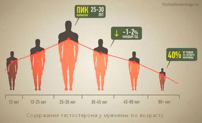 Причины повышенного тестостерона у мужчин и методы его снижения