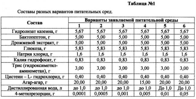 Какие факторы способствуют росту и развитию бактерий в различных средах