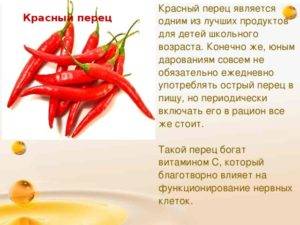 Красный острый перец - полезные свойства и применение. кайенский перец чили | книга здоровья