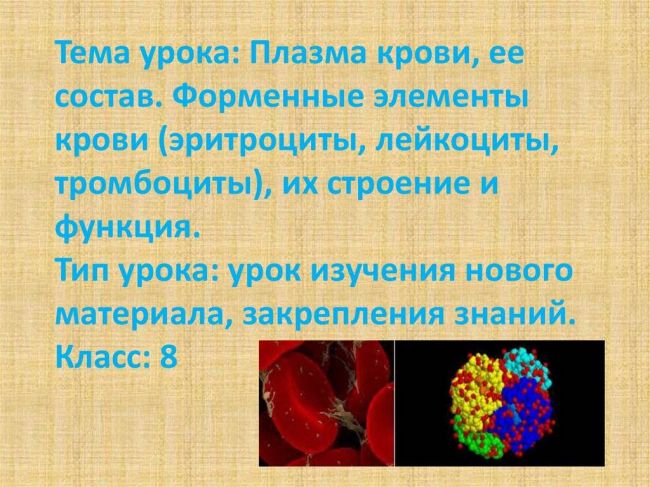 Кровь. плазма. форменные элементы крови (стр. 1 из 2)