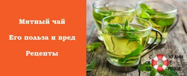Чай с мятой — польза и вред