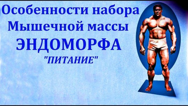 Программа питания для эндоморфа