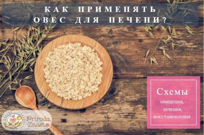 Как почистить печень овсом