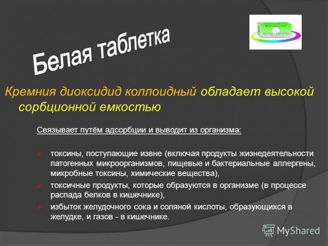 Доклад на тему болезнетворные бактерии сообщение 5, 6, 7 класс (описание для детей)