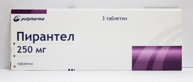 Дозировка пирантела для кошек и собак при глистах