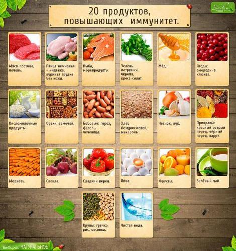 Влияние холестерина в сливочном масле на организм