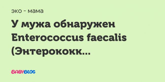 Кишечная палочка еscherichia coli: элементарные правила защиты