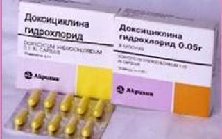 Таблетки доксициклин: инструкция по применению, показания к применению
