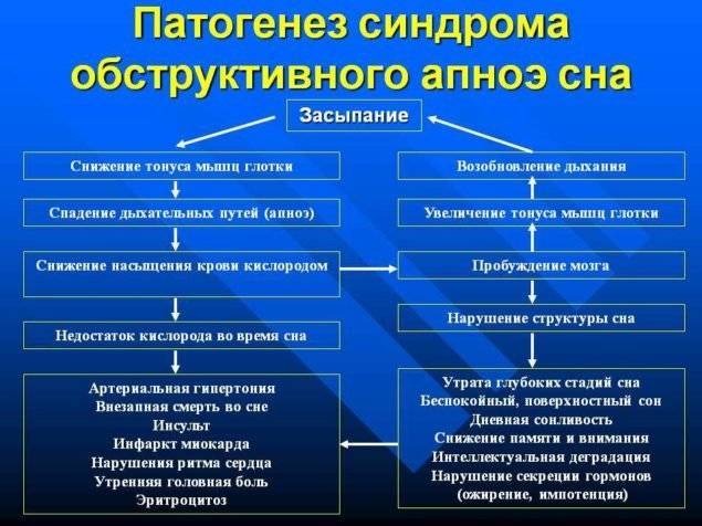 О сердце