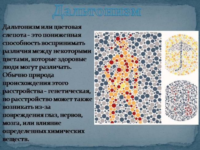 Посмотрите как дальтоники видят и различают цвета