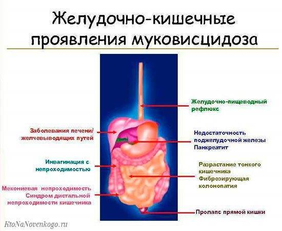 Механизм развития, симптомы и лечение бронхиальной астмы физического усилия