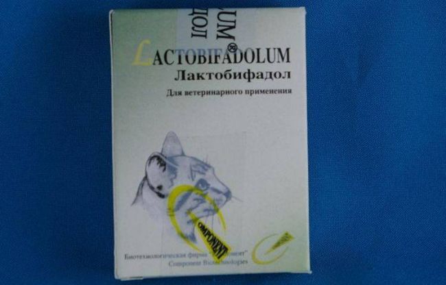 Какие пробиотики давать собаке топ 5 популярных препаратов