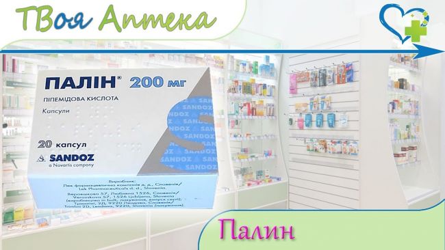 Характеристика препарата палин: показания и курс терапии
