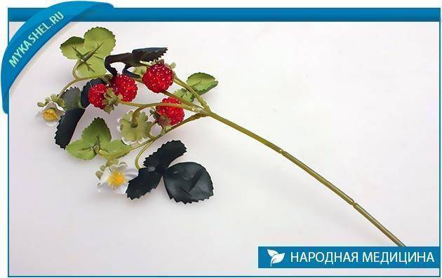 Отвар из веточек малины от температуры