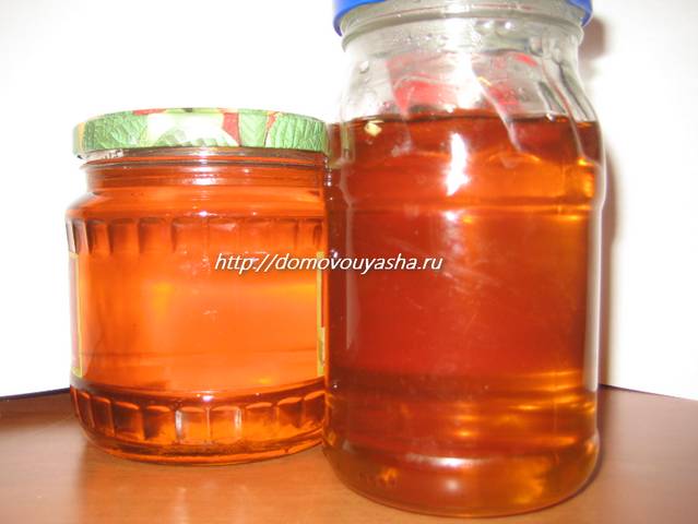 Как приготовить от кашля сосновыми почками