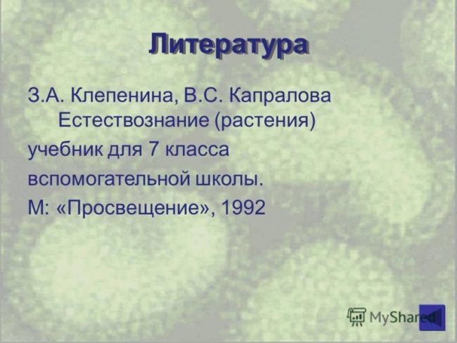 Проект по биологии на тему: «бактерии . разнообразие бактерий. место и значение бактерий на планете земля»