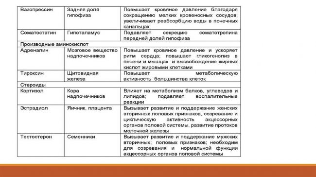 Адреналин и норадреналин: особенности гормонов, отличия, основные функции