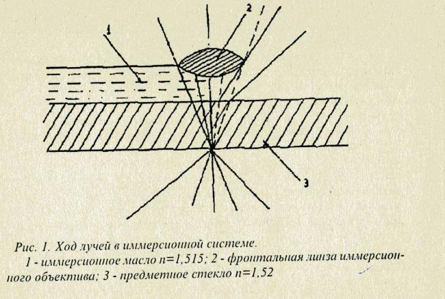 Гост 31747-2012 продукты пищевые. методы выявления и определения количества бактерий группы кишечных палочек (колиформных бактерий) / 31747 2012