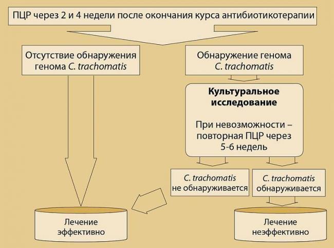 Хламидиоз